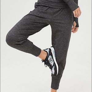 Nwot aerie offline hugger jogger pants small